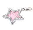 Pet Star Shape Rhinestone Write Name & Telephone ID Tags for Dogs