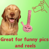 My Name is Harmony Bong, Funny Squeaky Weed Dog Toy, Cute Stuffed Parody Pot Bong, Cool Plush 420 Novelty Gift for Pets, Sized for Puppies & Small